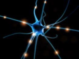 The broken neuron theory has become popular in Autism research